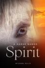 A Horse Named Spirit - eBook