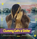 Clemmy Gets a Sister - Book