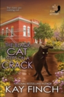 The Black Cat Steps on a Crack - Book