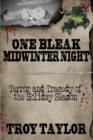 One Bleak Midwinter Night - Book