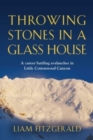 Throwing Stones in a Glass House : A career battling avalanches in Little Cottonwood Canyon - Book