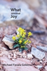 What Minimal Joy - Book