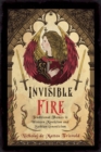 Invisible Fire : Traditional Themes in Western Mysticism and Sethian Gnosticism - Book