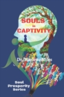 SOULS in CAPTIVITY - Book