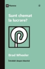 Sunt chemat la lucrare? (Am I Called to Ministry?) (Romanian) - Book