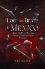 Love and Death in Mexico : A Love and Death Mystery  & Political Espionage Series - eBook