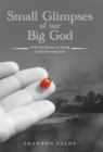 Small Glimpses of Our Big God : A 60 Day Journey to Seeing God in Everyday Life - Book