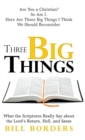 Three Big Things - Book