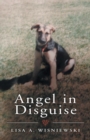 Angel in Disguise - Book