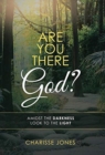 Are You There God? : Amidst the Darkness Look to the Light - Book