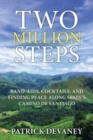 Two Million Steps : Band-Aids, Cocktails, and Finding Peace Along Spain's Camino de Santiago - Book