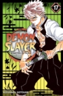 Demon Slayer: Kimetsu no Yaiba, Vol. 17 - Book
