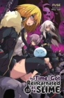 That Time I Got Reincarnated as a Slime, Vol. 13 (light novel) - Book