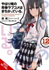 My Youth Romantic Comedy Is Wrong, As I Expected, Vol. 12 (light novel) - Book