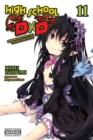 High School DxD, Vol. 11 (light novel) - Book