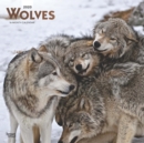 Wolves 2020 Square Wall Calendar - Book