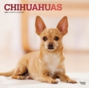 Chihuahuas 2020 Square Wall Calendar - Book