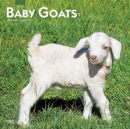 BABY GOATS 2022 SQUARE - Book