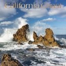 CALIFORNIA COAST 2022 SQUARE FOIL - Book