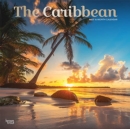 CARIBBEAN THE 2022 SQUARE FOIL - Book