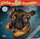 UNDERWATER PUPPIES 2022 MINI 7X7 - Book