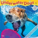 UNDERWATER DOGS 2022 SQUARE - Book