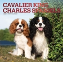 CAVALIER KING CHARLES SPANIELS 2022 SQUA - Book