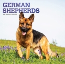 GERMAN SHEPHERDS 2022 SQUARE FOIL - Book