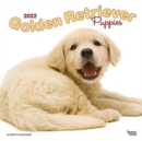 GOLDEN RETRIEVER PUPPIES 2022 SQUARE - Book