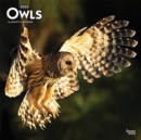 OWLS 2022 SQUARE - Book