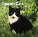 TUXEDO CATS 2022 SQUARE - Book