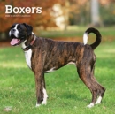 BOXERS INTERNATIONAL EDITION 2022 SQUARE - Book