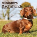 DACHSHUNDS MINIATURE 2022 SQUARE - Book