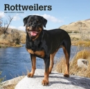 ROTTWEILERS 2022 SQUARE - Book