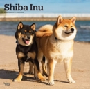 SHIBA INU 2022 SQUARE - Book