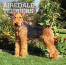 AIREDALE TERRIERS 2022 SQUARE FOIL - Book