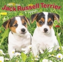 JACK RUSSELL TERRIER PUPPIES 2022 SQUARE - Book