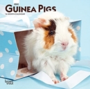 GUINEA PIGS 2022 MINI 7X7 - Book