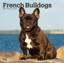 FRENCH BULLDOGS 2022 SQUARE - Book