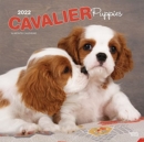CAVALIER KING CHARLES SPANIEL PUPPIES 20 - Book