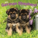 GERMAN SHEPHERD PUPPIES 2022 SQUARE - Book