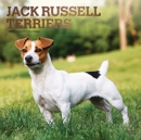 JACK RUSSELL TERRIERS 2022 SQUARE FOIL - Book