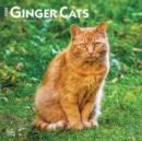 GINGER CATS 2024 SQUARE - Book