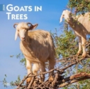 GOATS IN TREES 2024 SQUARE - Book
