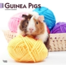GUINEA PIGS 2024 SQUARE - Book