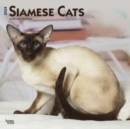 SIAMESE CATS 2024 SQUARE - Book
