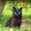 BLACK CATS THE BEAUTY OF 2024 SQUARE STK - Book