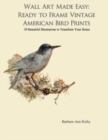 Wall Art Made Easy : Ready to Frame Vintage American Bird Prints: 30 Beautiful Illustrations to Transform Your Home - Book
