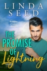 The Promise of Lightning - Book