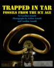 Trapped in Tar : Fossils from the Ice Age - Book
